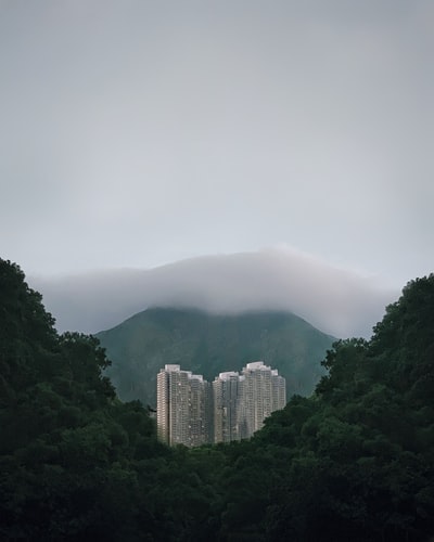 图聚科技
